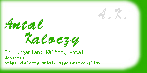 antal kaloczy business card