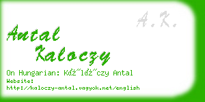 antal kaloczy business card